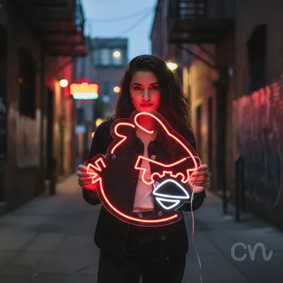 Custom Neon | Angry Bird Neon Sign | 22x22 | Red Light Wall Decor for Gaming Room