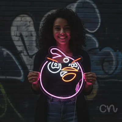 Custom Neon | Angry Bird Face Neon Sign | 21x18 | Pink Red Orange White