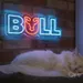 Custom Neon | Bull Neon Sign | 8x24 | Ice Blue Red Neon Sign for Home Bar Decor 2