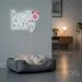 Custom Neon | Hello Kitty Neon Sign | 19x24 | White Red | Perfect for Kids Room Decor 2