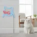 Custom Neon | Cat with Sunglasses Neon Sign | 20x21 | Ice Blue and Red 2