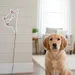 Custom Neon | Cat Face Neon Sign | 22x15 | Pink White Neon Sign for Home Decor 2