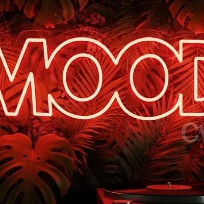 Custom Neon | Mood Neon Sign | Plug-in LED Flex Board Wall Decor for Bedroom, Home, Bars, Cafes, and Events | Energy Efficient, Long Lasting, Modern Art Display | 9x24 | Red