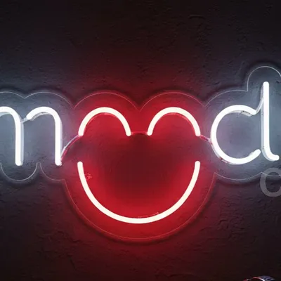 Custom Neon | Neon Flex Mood Sign | 11x24