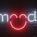 Custom Neon | Neon Flex Mood Sign | 11x24 1