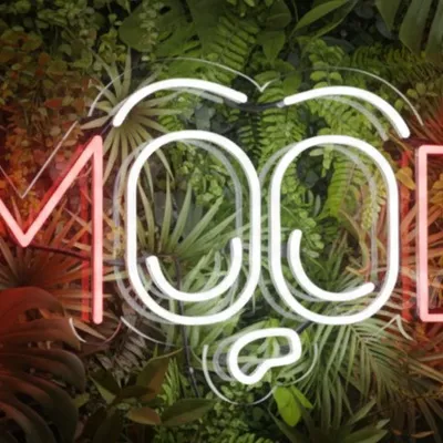 13x24 Mood Neon Sign, Plug In Mood Light, Mood Neon Board, Neon Flex Mood Design, Happy Smiley Mood Neon, LED Mood Neon Light, Custom Mood Neon Sign, Premium Wall Mounted Mood Decor India