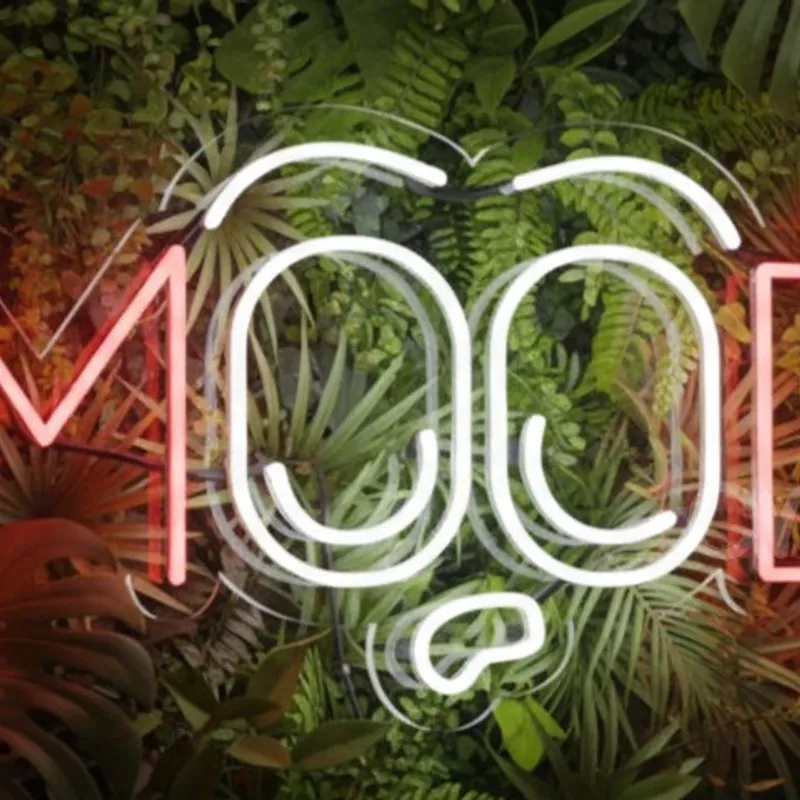 Custom Neon | Mood Neon Sign | 13x24