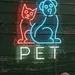 Custom Neon | Pet Neon Sign | Red & Blue, White | 22x17 2