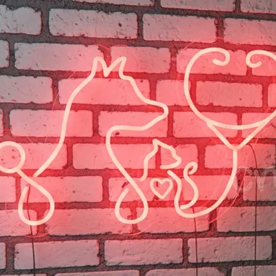 Custom Neon | Vet Clinic Neon Sign with Dog Cat and Stethoscope Design | 15x24 | Red